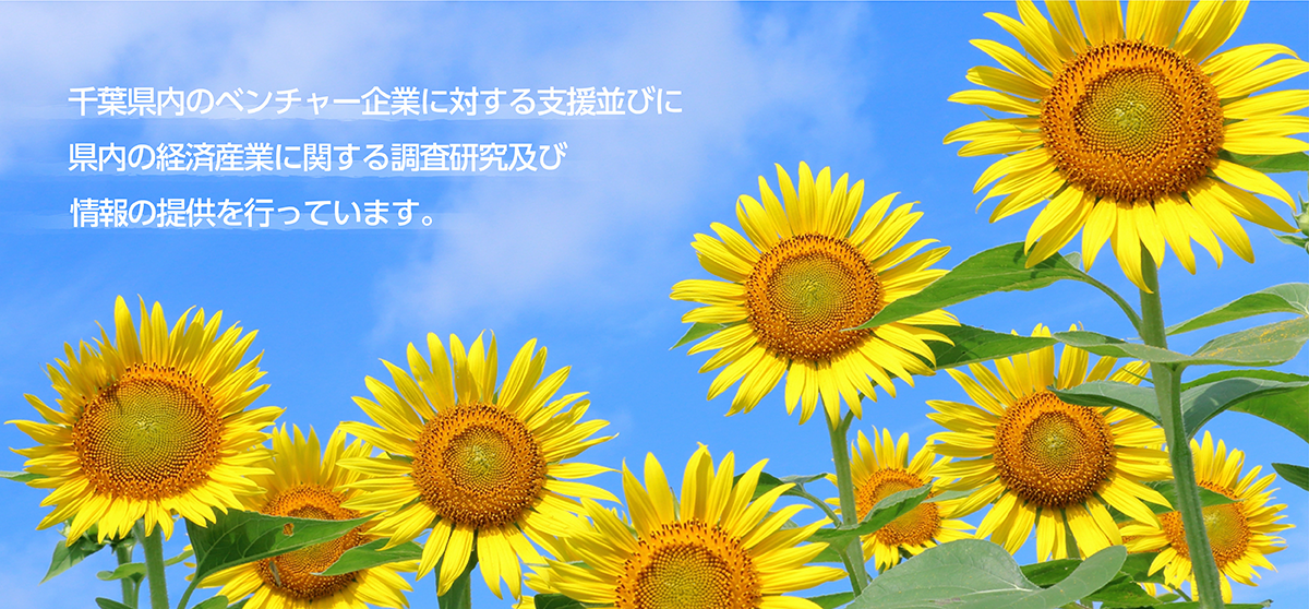 公益財団法人ひまわりベンチャー育成基金